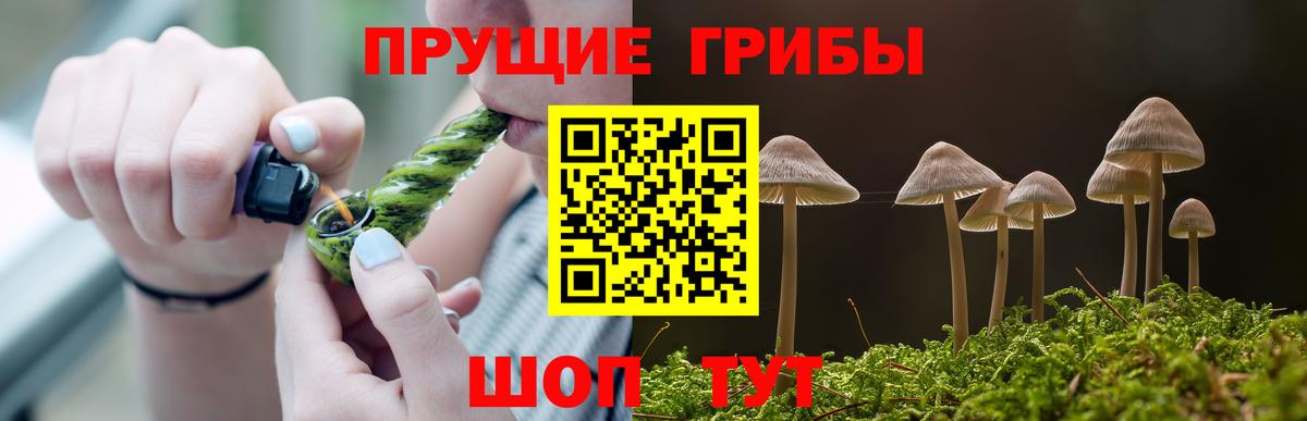 Галлюциногенные грибы ЛСД Моздок